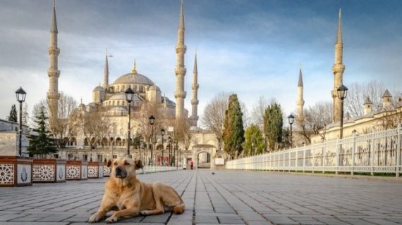 Karpet Masjid Berkualitas di 15 Negara Dunia