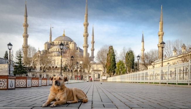 Karpet Masjid Berkualitas di 15 Negara Dunia